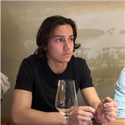 Étudiant en école de commerce, diplômé du baccalauréat ( Mathématiques SES ) propose des cours de maths du collège à la terminale